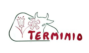 terminio